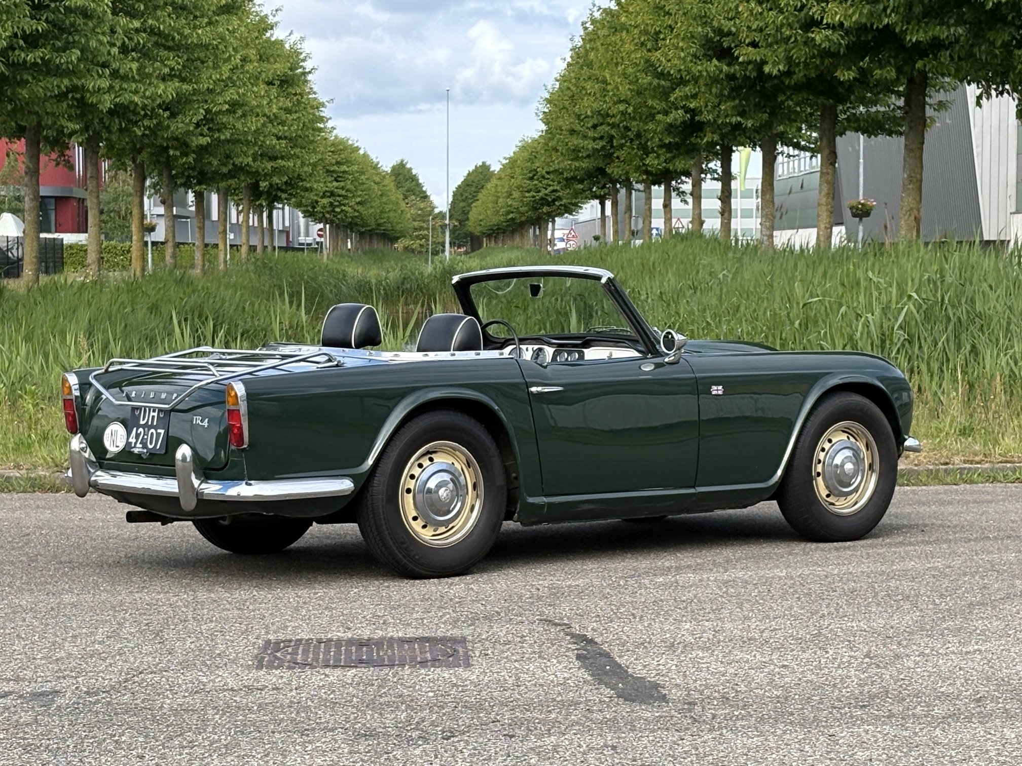 Triumph TR4