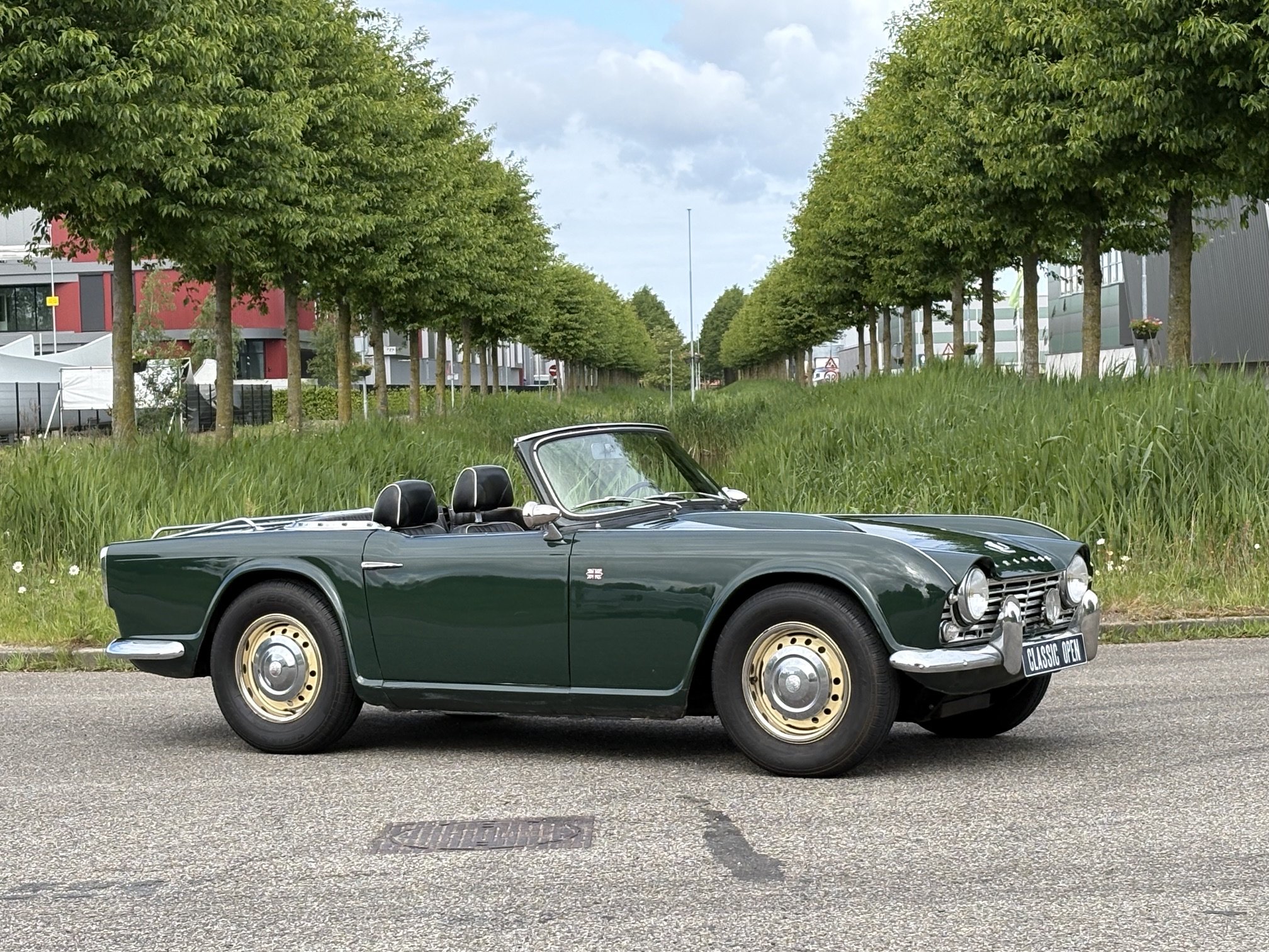 Triumph TR4