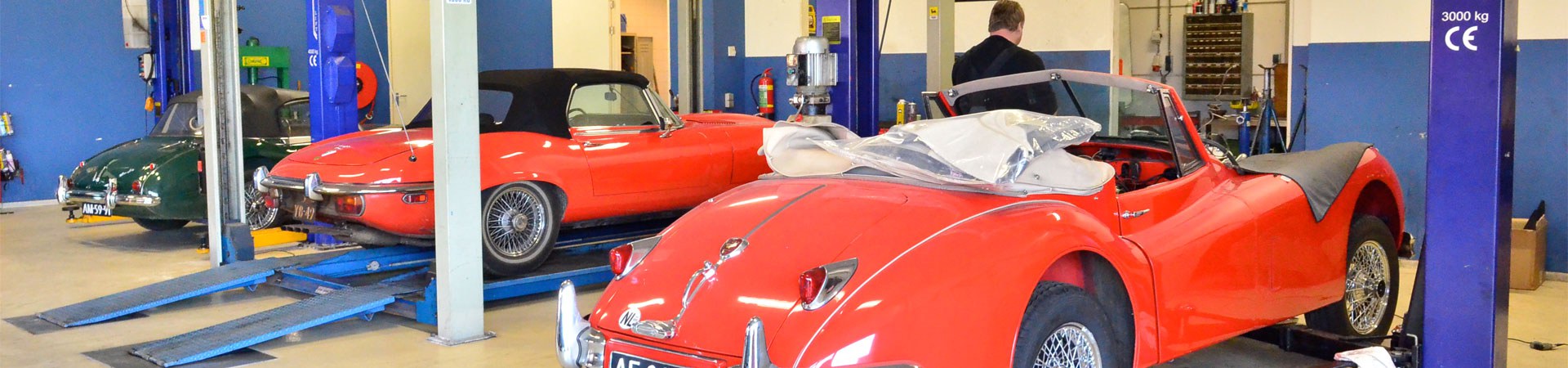 A team of specialized technicians A team of specialized technicians